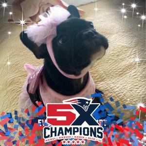 Meet your Posher, Eileen